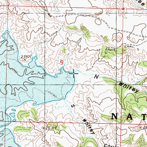 Topographic Map of North Whitey Coulee, MT