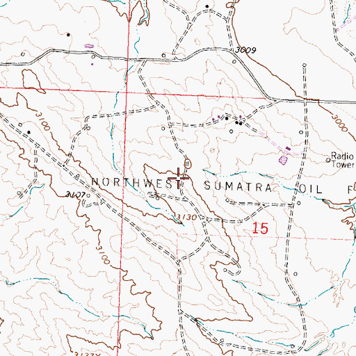 Topographic Map of Northwest Sumatra Oil Field, MT