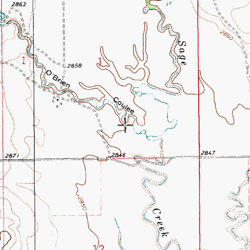 Topographic Map of O'Brien Coulee, MT