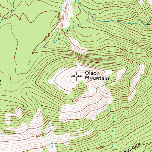 Topographic Map of Olson Mountain, MT