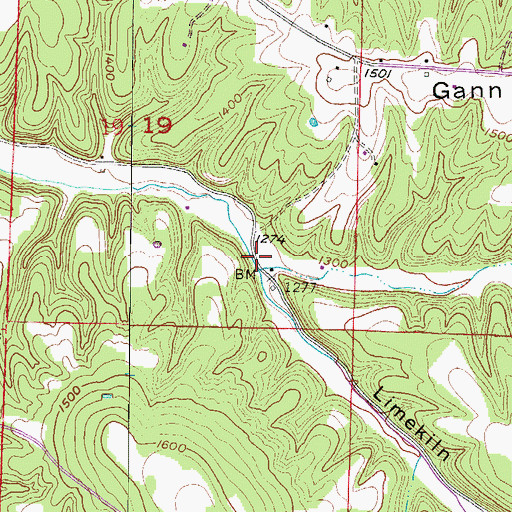 Topographic Map of Limekiln Hollow, AR