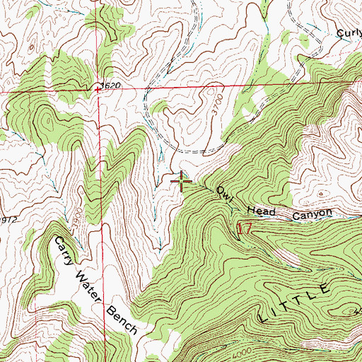 Topographic Map of Owl Head Canyon, MT