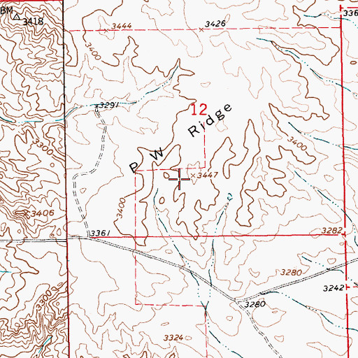 Topographic Map of P W Ridge, MT