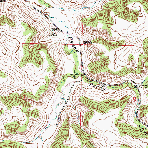 Topographic Map of Paddy Creek, MT