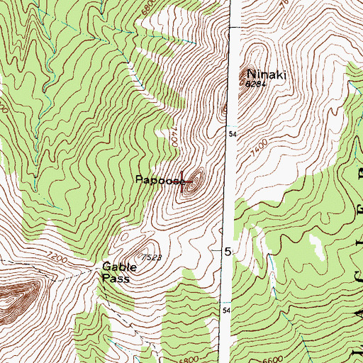 Topographic Map of Papoose, MT