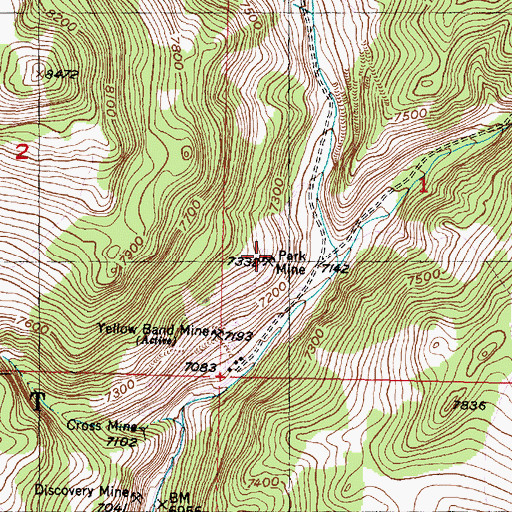 Topographic Map of Park Mine, MT