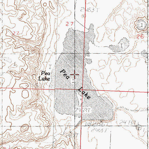 Topographic Map of Pea Lake, MT