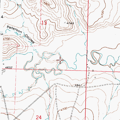 Topographic Map of Peterson Coulee, MT