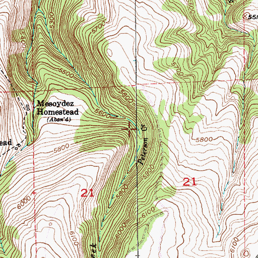 Topographic Map of Peterson Creek, MT