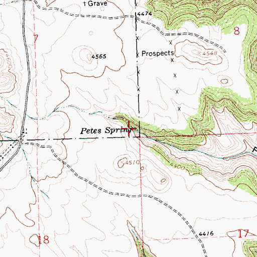 Topographic Map of Petes Spring, MT