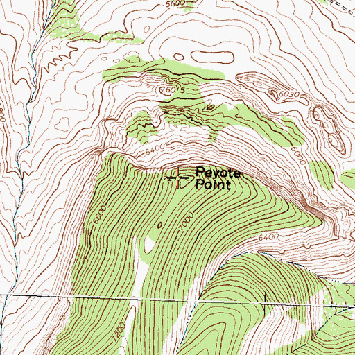 Topographic Map of Peyote Point, MT