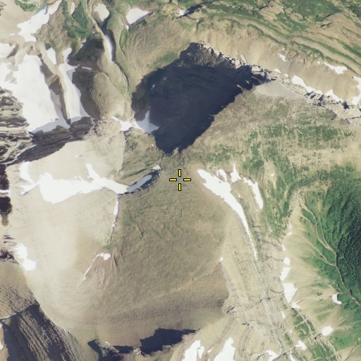 Aerial/Satellite Image of Piegan Pass, MT