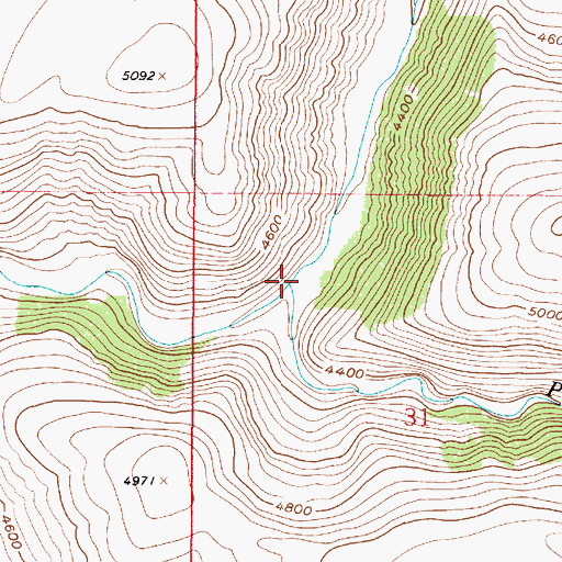 Topographic Map of Pine Coulee, MT