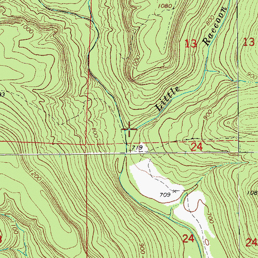 Topographic Map of Little Raccoon Creek, AR