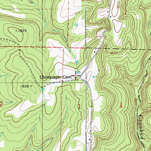 Topographic Map of Chinquapin Cemetery, AR