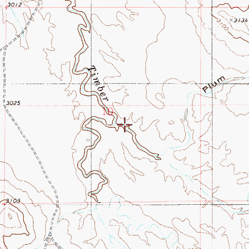 Topographic Map of Plum Thicket Draw, MT
