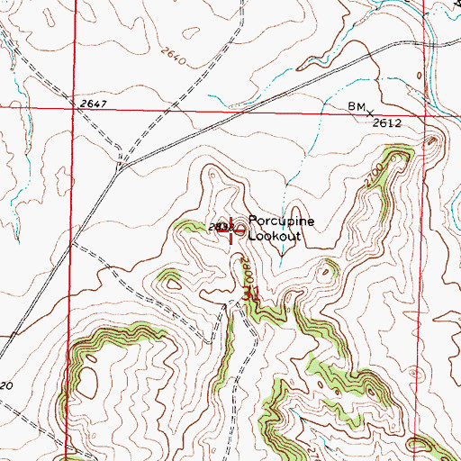Topographic Map of Porcupine Lookout, MT