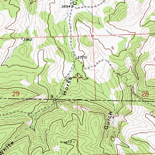 Topographic Map of Porphyry Gulch, MT