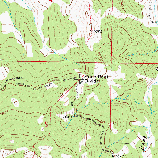 Topographic Map of Price-Peet Divide, MT