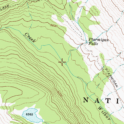 Topographic Map of Ptarmigan Creek, MT