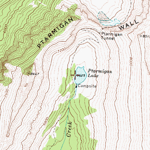Topographic Map of Ptarmigan Lake, MT