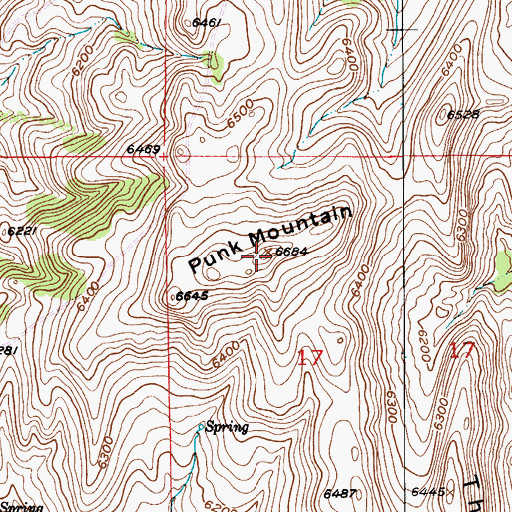Topographic Map of Punk Mountain, MT