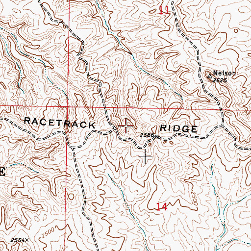 Topographic Map of Racetrack Ridge, MT
