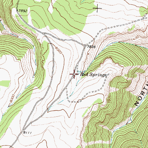 Topographic Map of Red Springs, MT