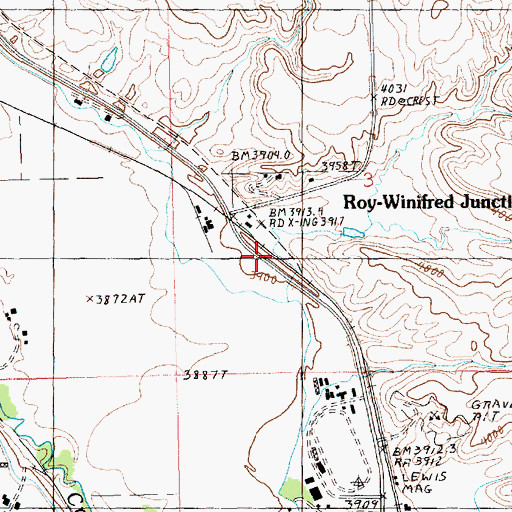 Topographic Map of Roy-Winifred Junction, MT