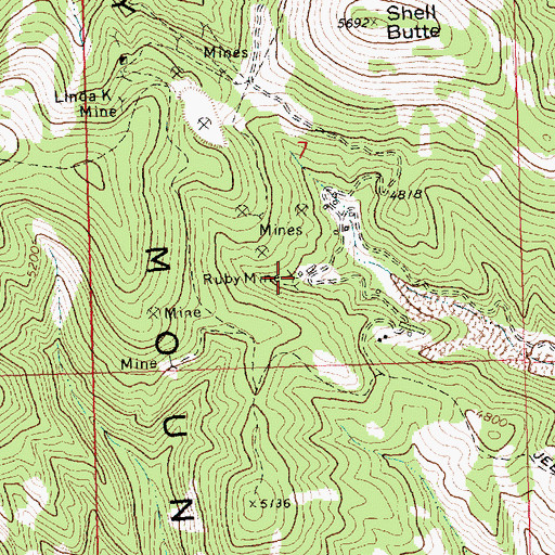 Topographic Map of Ruby Mine, MT
