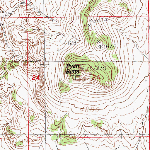Topographic Map of Ryan Butte, MT