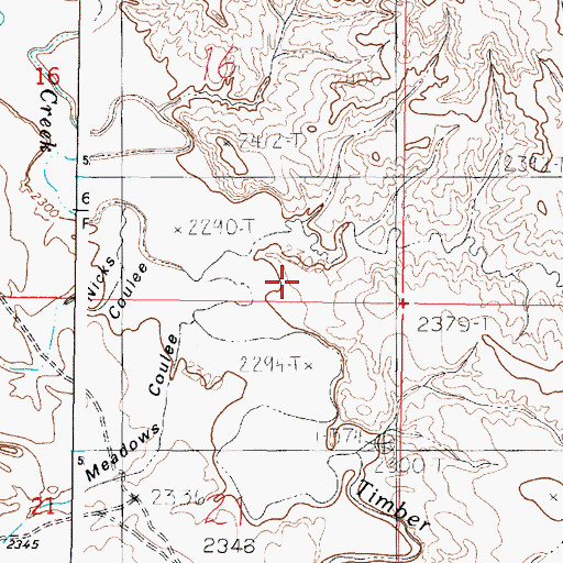 Topographic Map of Ryan Coulee, MT