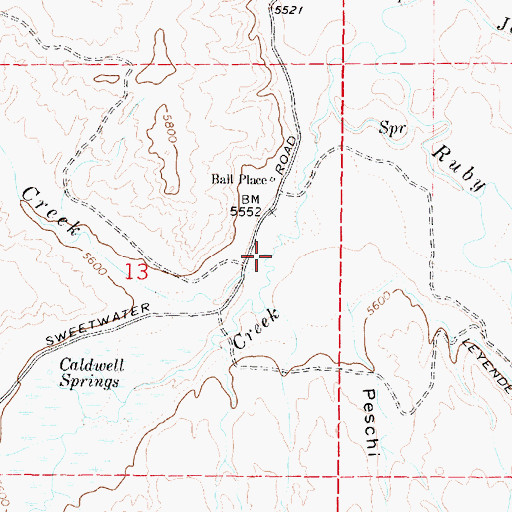 Topographic Map of Sage Creek, MT