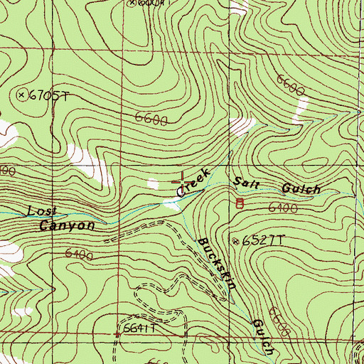 Topographic Map of Salt Gulch, MT
