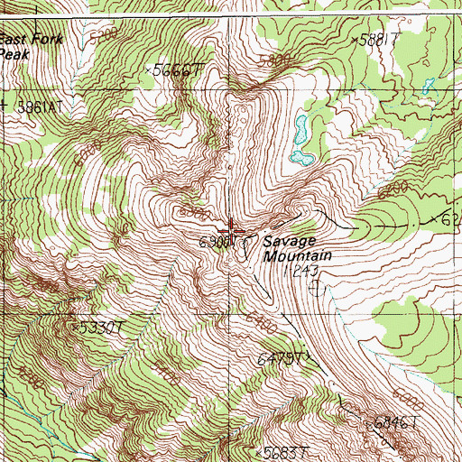 Topographic Map of Savage Mountain, MT