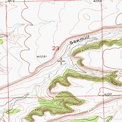 Topographic Map of Sawmill Gulch, MT