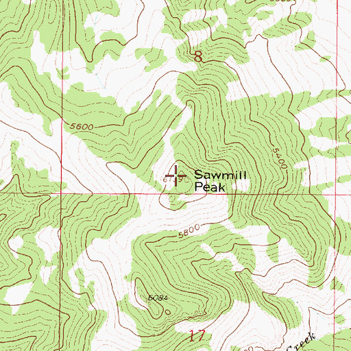 Topographic Map of Sawmill Peak, MT