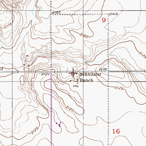 Topographic Map of Schnitzler Ranch, MT