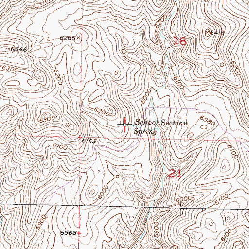 Topographic Map of School Section Spring, MT