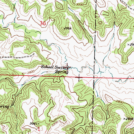 Topographic Map of School Section Spring, MT