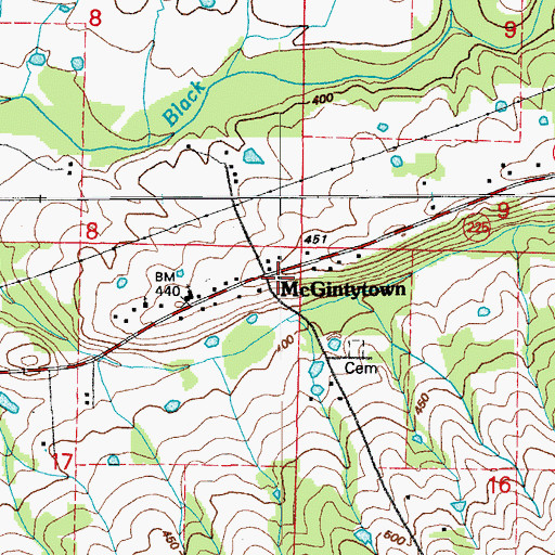 Topographic Map of McGintytown, AR
