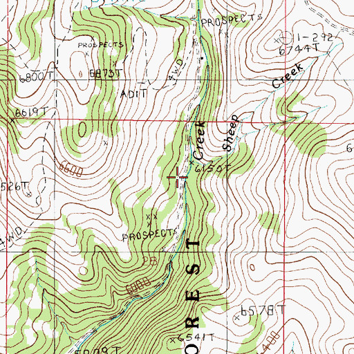 Topographic Map of Sheep Creek, MT