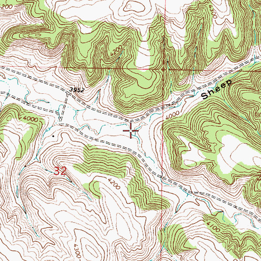 Topographic Map of Sheep Gulch, MT