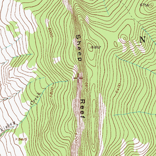 Topographic Map of Sheep Reef, MT