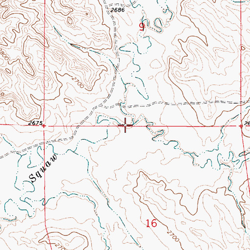 Topographic Map of Iron Teeth Woman Creek, MT