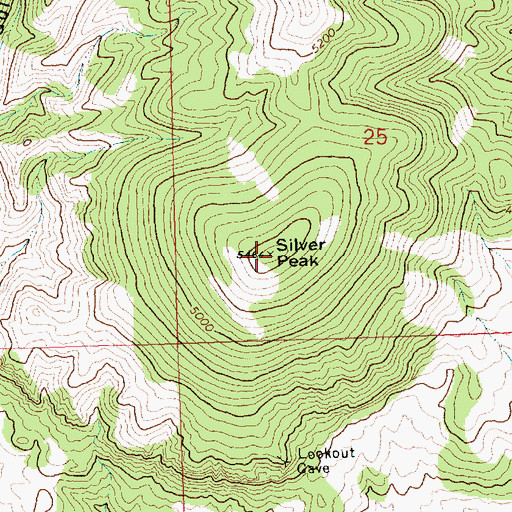 Topographic Map of Silver Peak, MT
