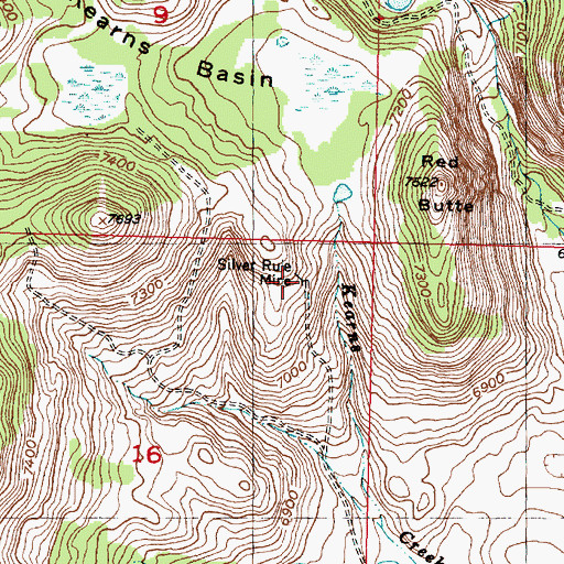 Topographic Map of Silver Rule Mine, MT