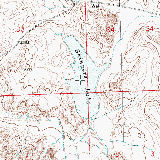 Topographic Map of Skinners Lake, MT