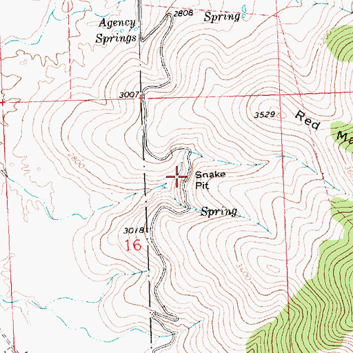 Topographic Map of Snake Pit, MT