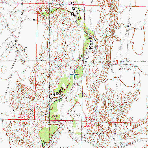Topographic Map of Sneed's Ranch, MT